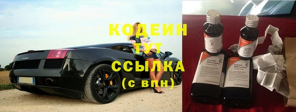 ПСИЛОЦИБИНОВЫЕ ГРИБЫ Горно-Алтайск
