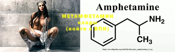 ПСИЛОЦИБИНОВЫЕ ГРИБЫ Горно-Алтайск