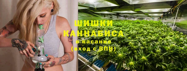 ПСИЛОЦИБИНОВЫЕ ГРИБЫ Горно-Алтайск