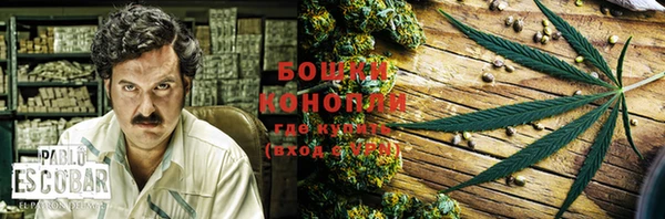 бошки Горняк