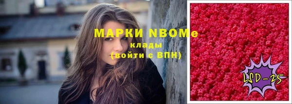 ПСИЛОЦИБИНОВЫЕ ГРИБЫ Горно-Алтайск