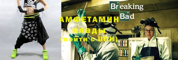 ГАЛЛЮЦИНОГЕННЫЕ ГРИБЫ Гусев