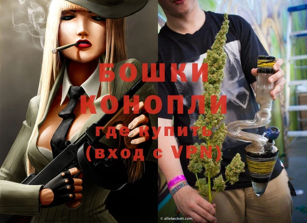 ПСИЛОЦИБИНОВЫЕ ГРИБЫ Горно-Алтайск