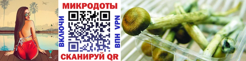 купить  сайты  Зеленогорск  Галлюциногенные грибы Psilocybine cubensis 