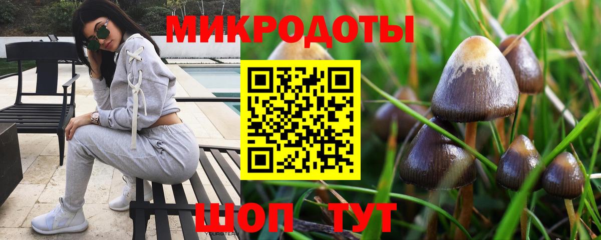 Зеленогорск  Псилоцибиновые грибы ЛСД  Вход с VPN  Галлюциногенные грибы Cubensis 