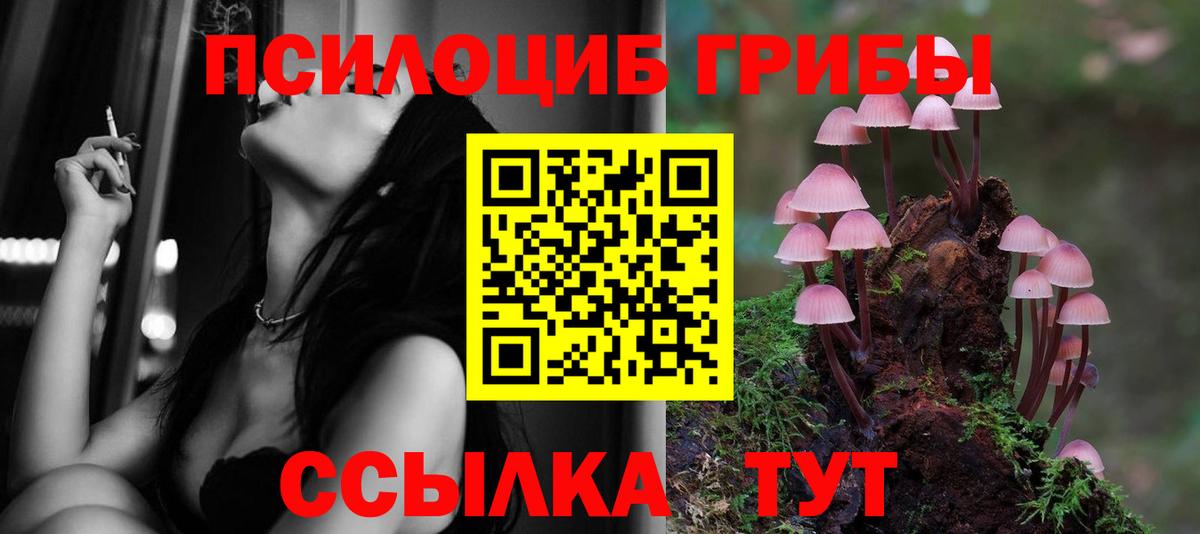 Галлюциногенные грибы прущие грибы Зеленогорск